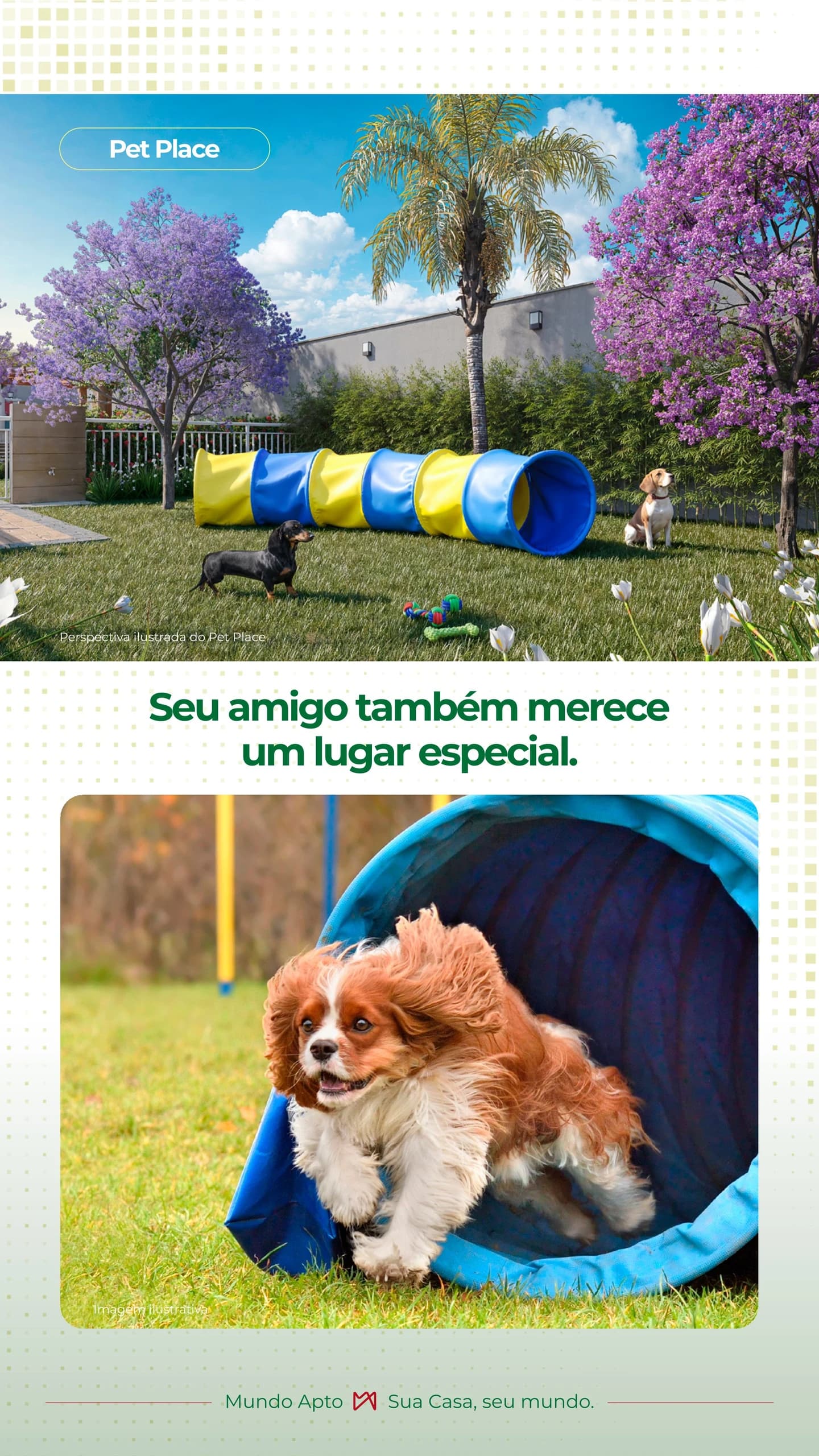 Miniatura 17